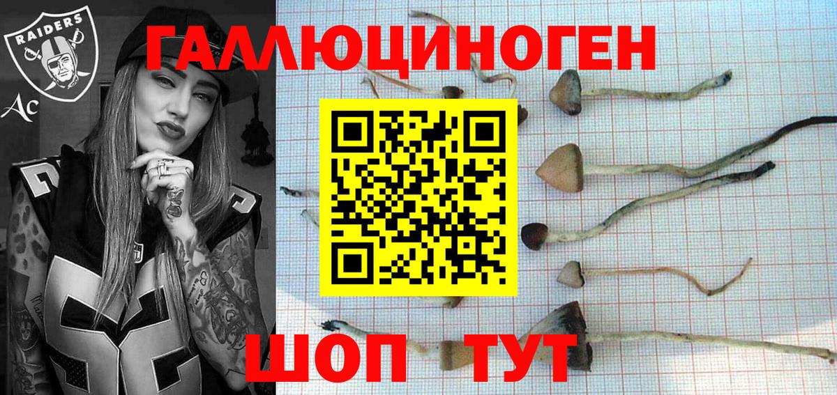 Галлюциногенные грибы MAGIC MUSHROOMS Людиново