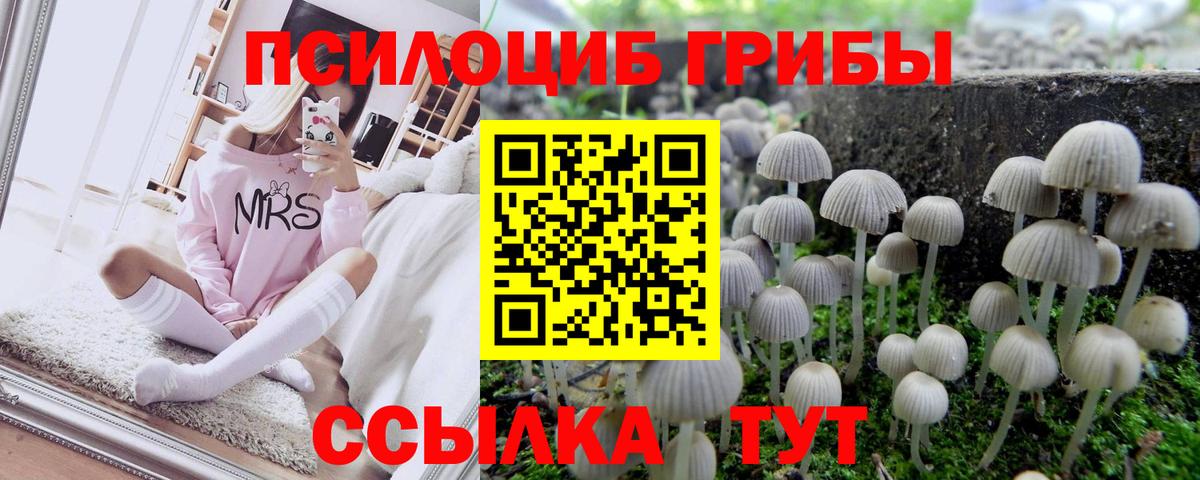Псилоцибиновые грибы Magic Shrooms  Псилоцибиновые грибы ЛСД  Людиново  Вход с VPN 